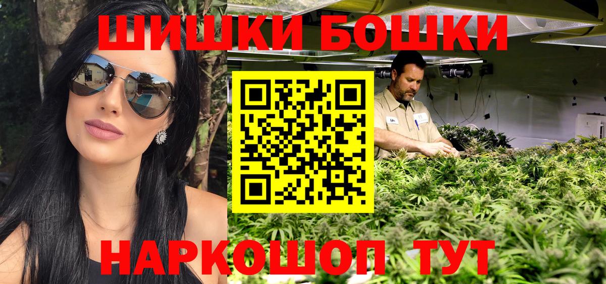 Бошки Шишки Кызыл